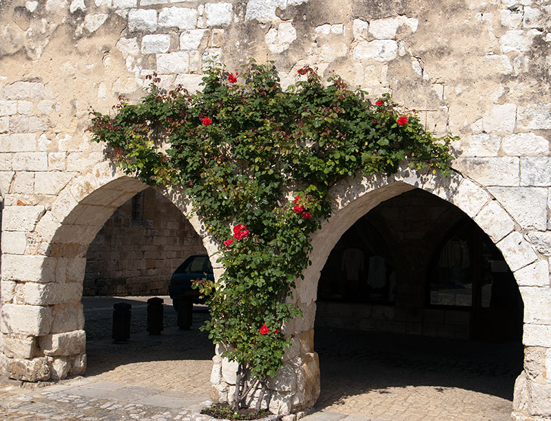 %_tempFileName30)%20Rose%20Arch%