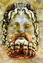 %_tempFileName12)%20Moustache%20Rufous%
