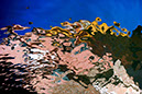 %_tempFileName53)%20Blue%20Yellow%203613%