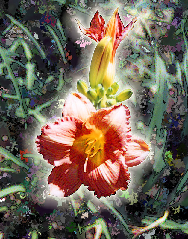 %_tempFileName07)%20Day%20Lillies%
