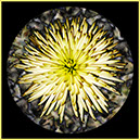 %_tempFileName08)%20Maxi%20Mum%
