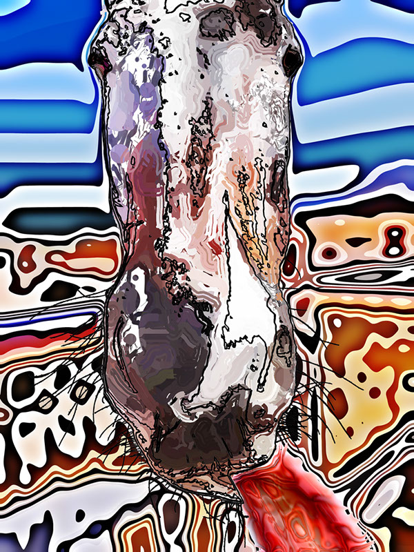 %_tempFileName030)%20Eli%20Razzled%20Tongue%