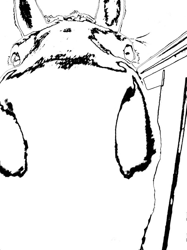 %_tempFileName050)%20Curious%20Ghost%