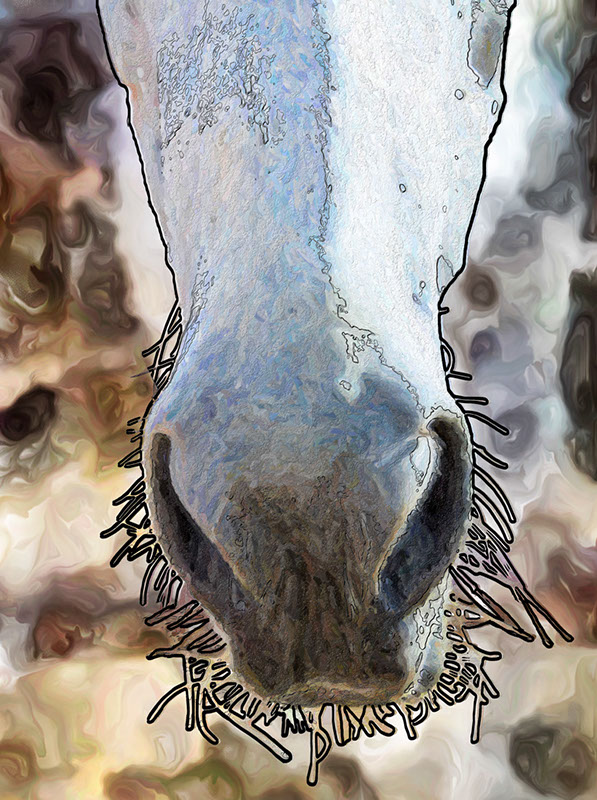%_tempFileName072)%20Hollow%20Whiskers%