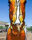%_tempFileName010)%20Fiery%20Hoss%