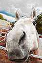 %_tempFileName012)%20Lady%20in%20Red%20Run%