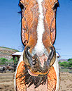 %_tempFileName042)%20Hoss%20Narajano%