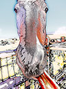 %_tempFileName046)%20Eli%20Sketchy%20Tongue%