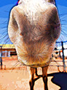 %_tempFileName049)%20Orange%20Fuzzy%20Cloud%