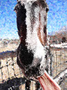%_tempFileName057)%20Eli%20Crackly%20Tongue%