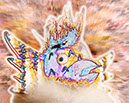 %_tempFileName46)%20Chicken%20Little%