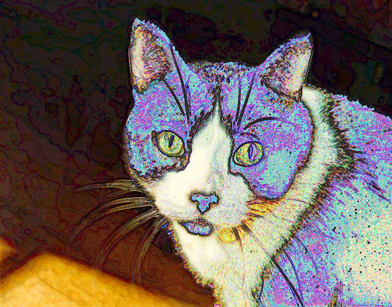 %_tempFileName00)%20Blue%20Nuss%