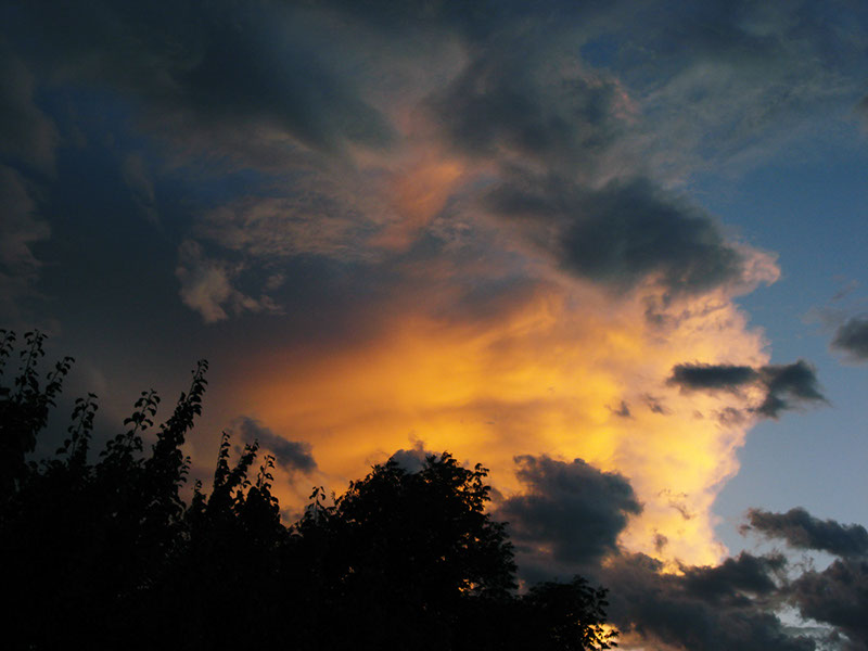 %_tempFileName05)%20Golden%20Thunderhead%