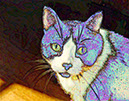%_tempFileName00)%20Blue%20Nuss%