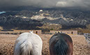 %_tempFileName00)%20Watching%20Mountain%20II%20K027%