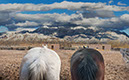 %_tempFileName09)%20Watching%20Mountain%20II%20K035%20A%