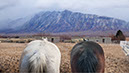 %_tempFileName14)%20Watching%20Mountain%20II%20W005b%