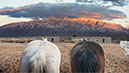 %_tempFileName22)%20Watching%20Mountain%20II%20K049%