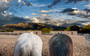 %_tempFileName25)%20Watching%20Mountain%20II%20K546%