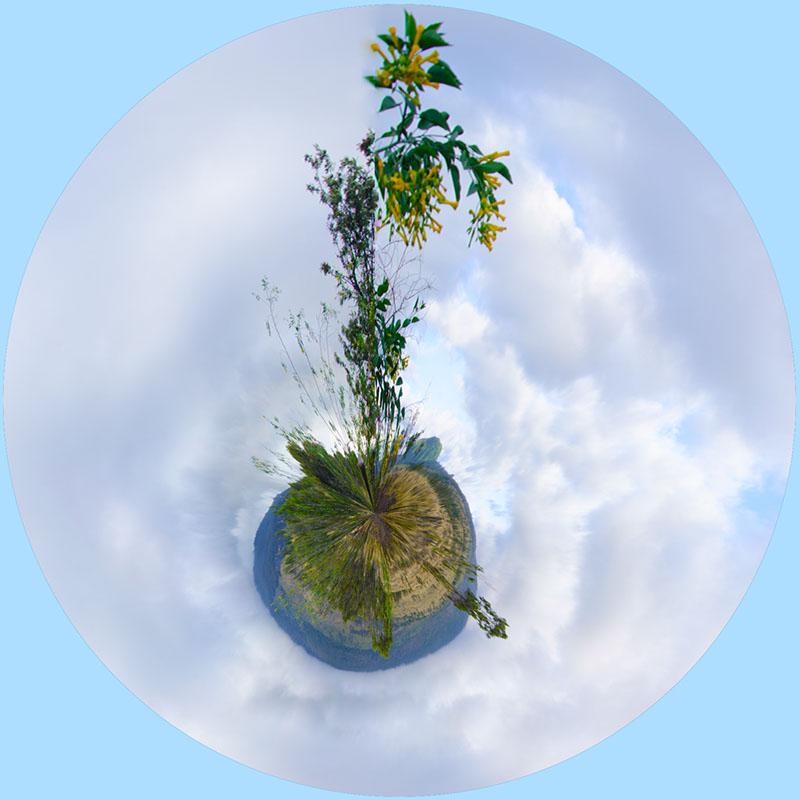 %_tempFileName53)%20Jack's%20Beanstalk%