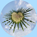 %_tempFileName03)%20FeatherLeafHeart%