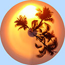 %_tempFileName19)%20Kona%20Sunset%206%