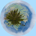 %_tempFileName24)%20Mountain%20Urchin%