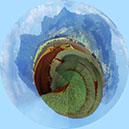 %_tempFileName34)%20Pinautilus%200%