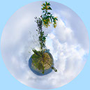 %_tempFileName53)%20Jack's%20Beanstalk%