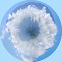 %_tempFileName57)%20Windows%20to%20the%20Stars%203%