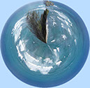 %_tempFileName67)%20Bushbreakers%