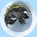 %_tempFileName71)%20Wawaloi%20Pahoehoe%204%