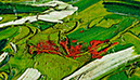 %_tempFileName14)%20Undergrowth%20with%20Two%20Figures%20008%20W02%